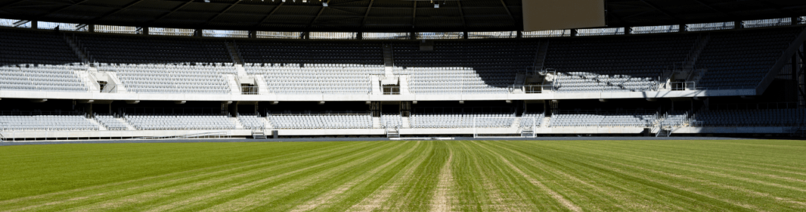 Pirmieji pavasario darbai Kauno Dariaus ir Girėno futbolo stadione